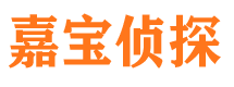 望江市私家侦探